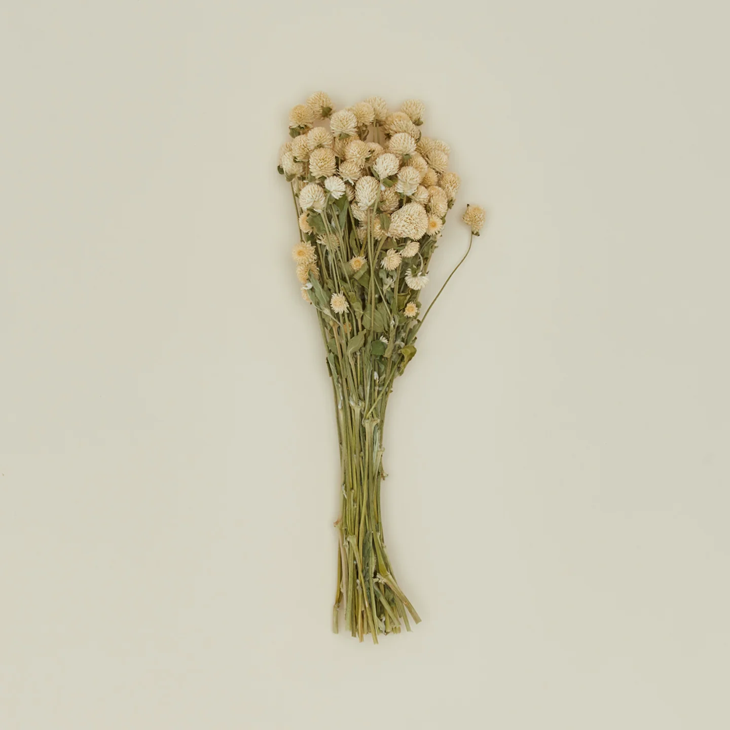Dried Amaranth