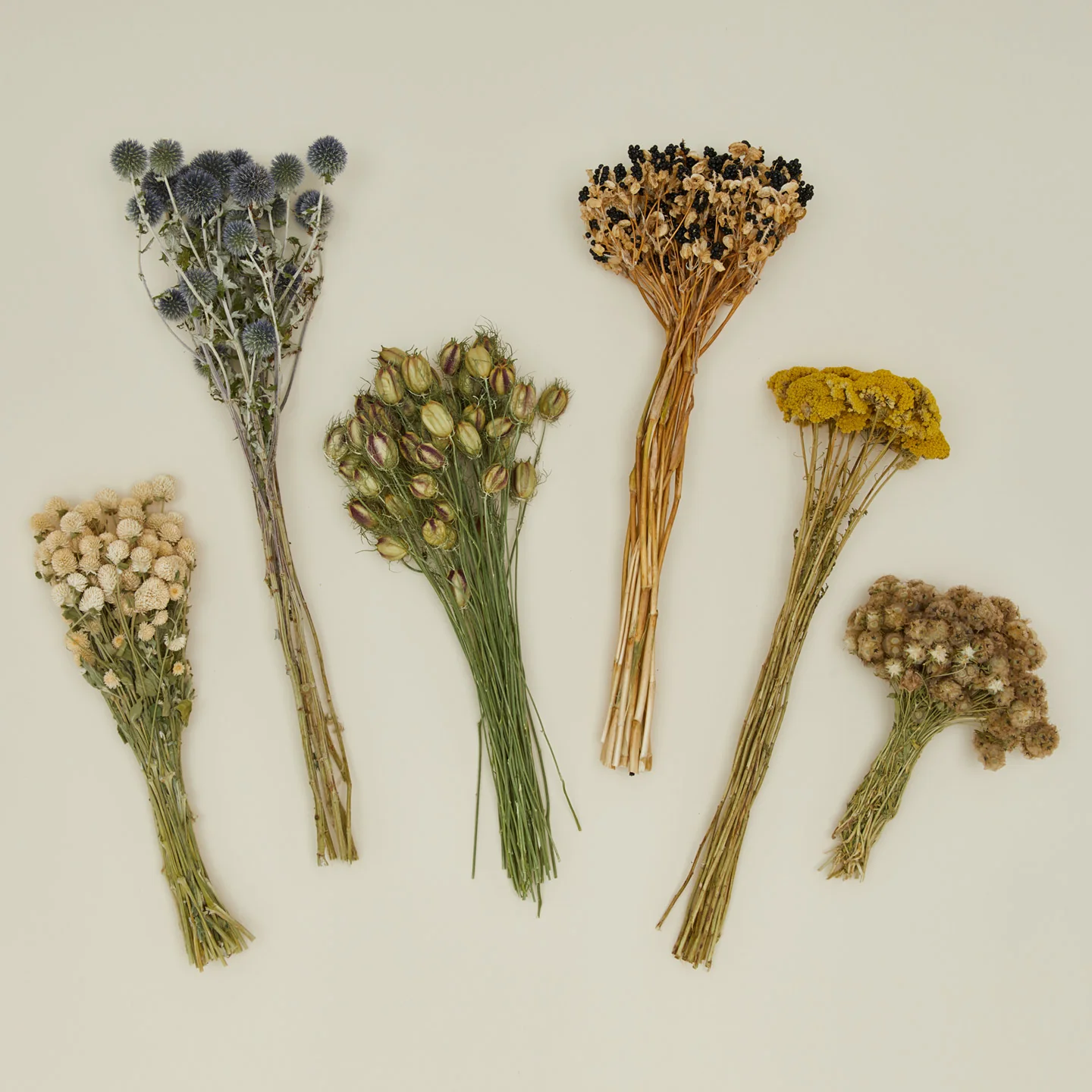 Dried Yarrow - Image 4