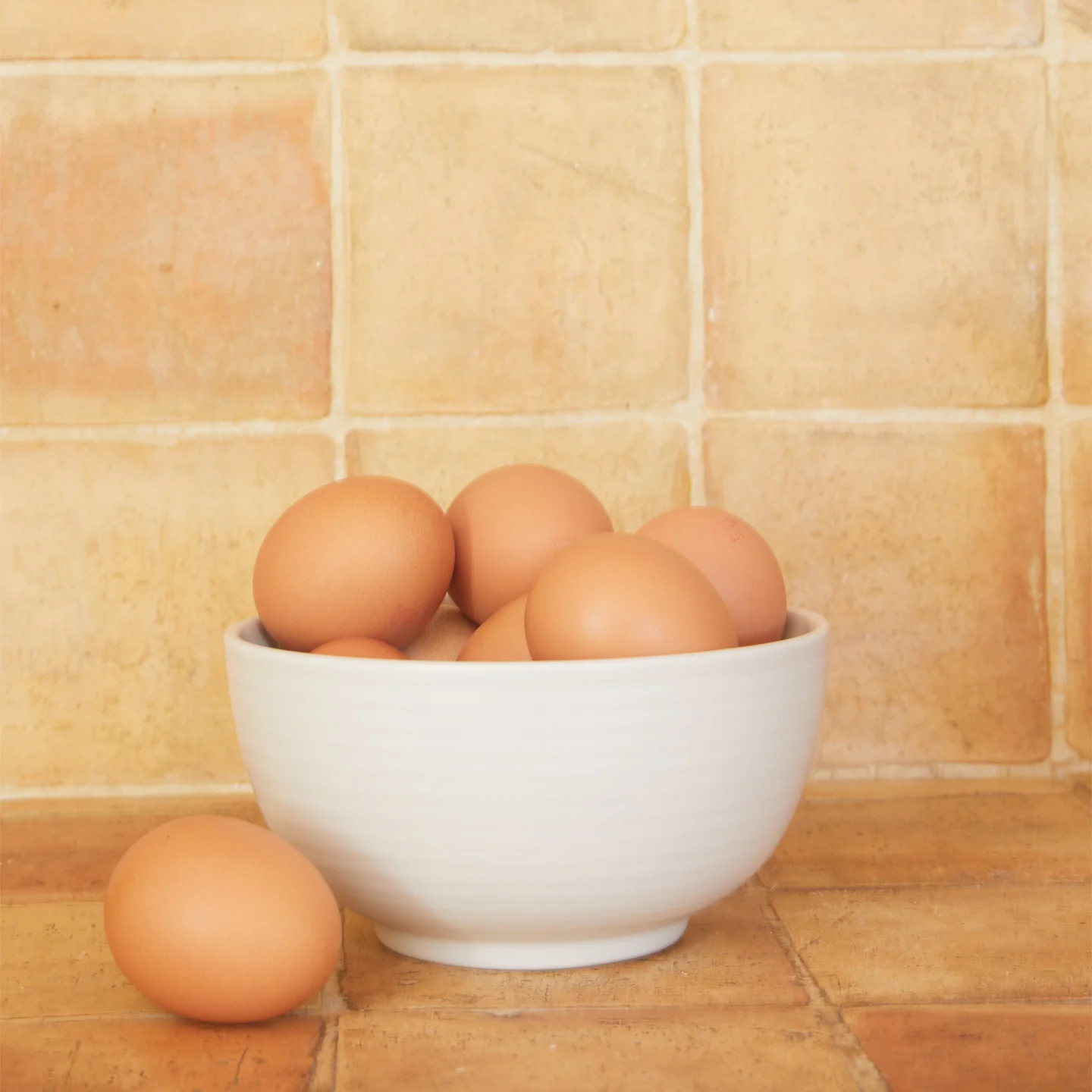 Essential Large Bowl, Set of 4 - Bone - Image 6