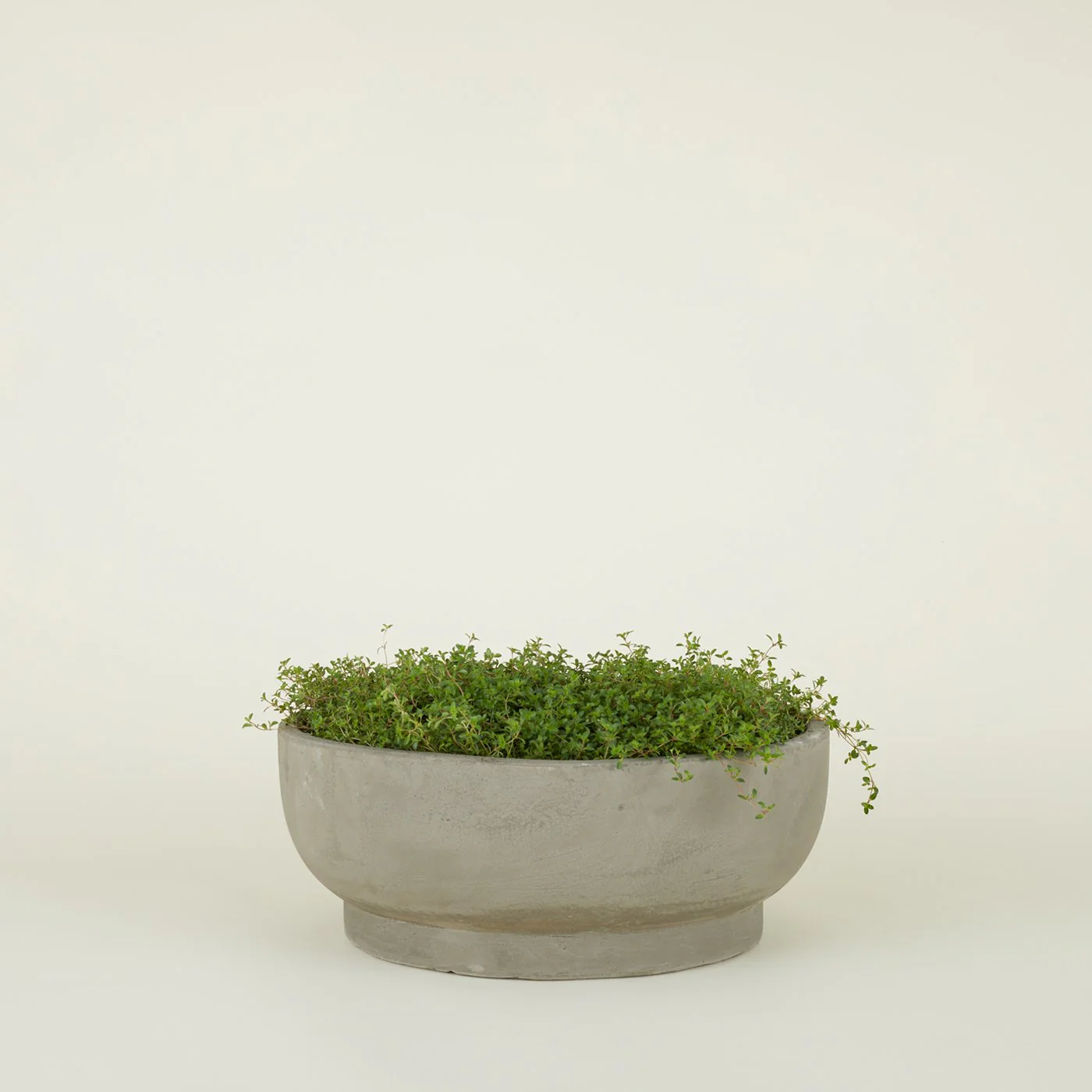 Footed Bowl Planter - Fiber Cement - Image 4
