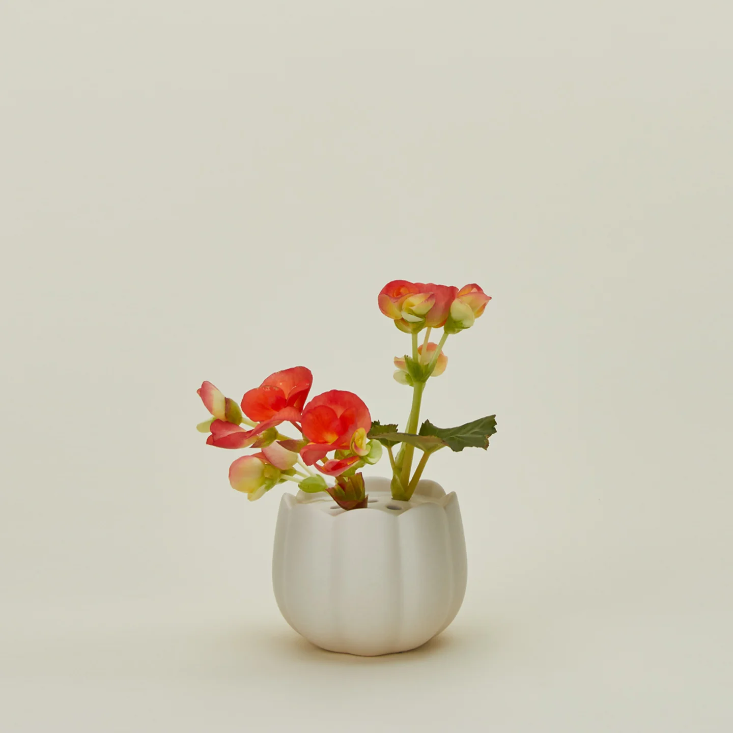 Flower Frog Vases - Image 6