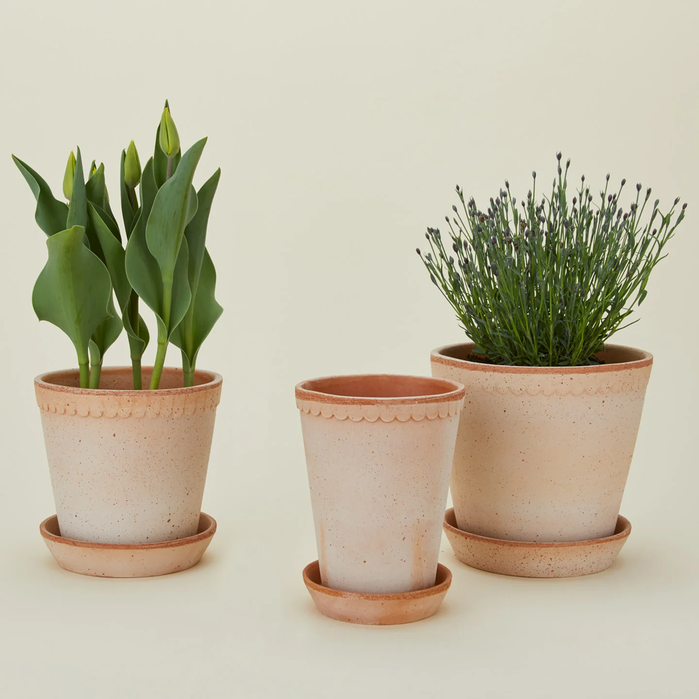 Helena Pot - Image 2