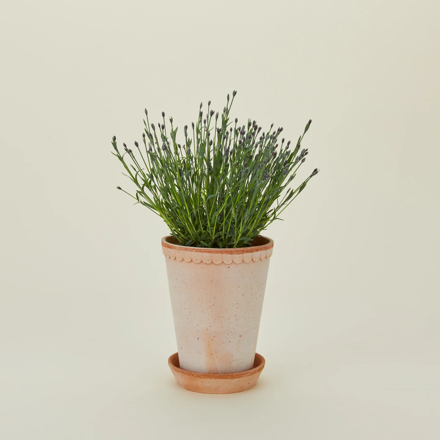Helena Pot - Image 3