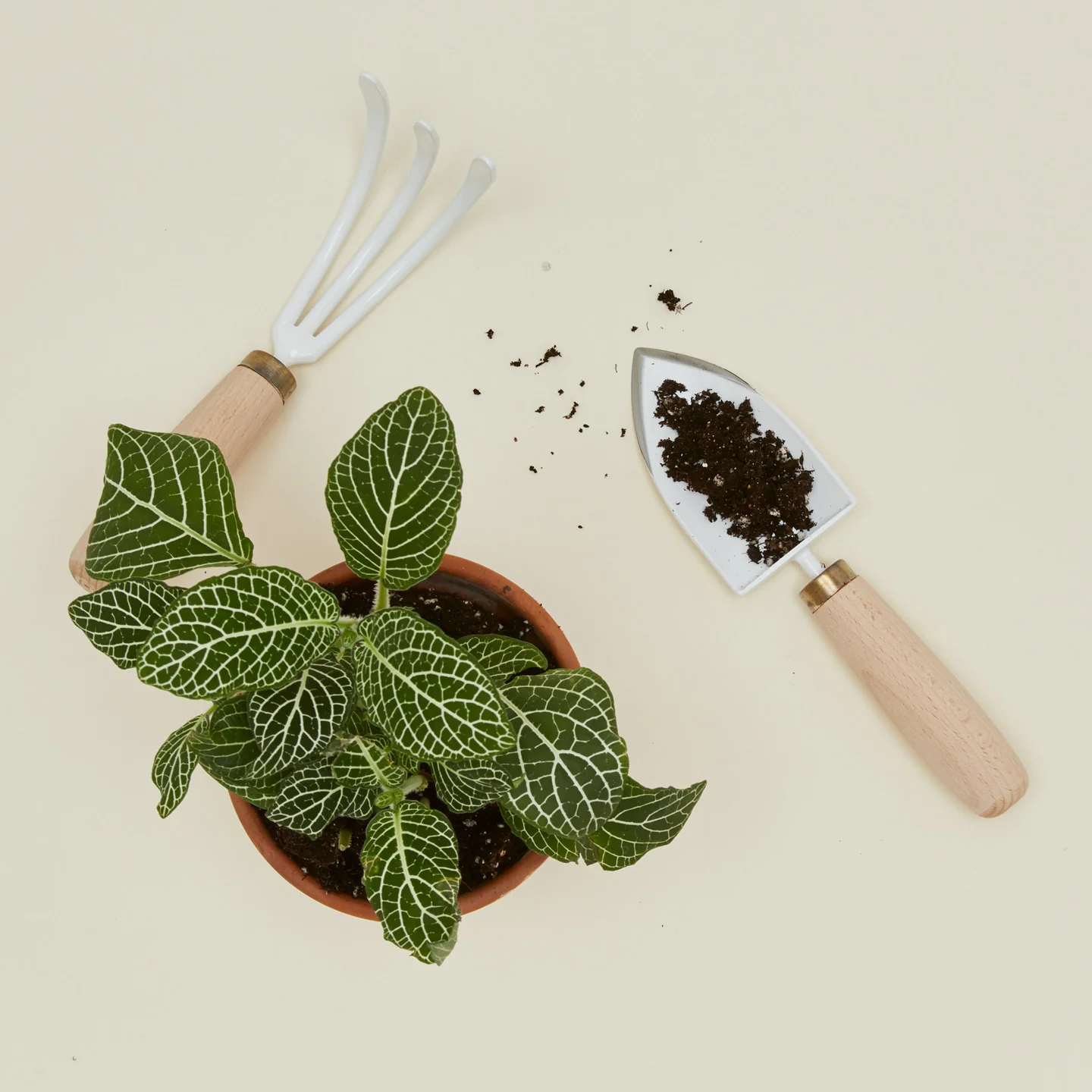 Japanese Garden Tool Set - Image 2