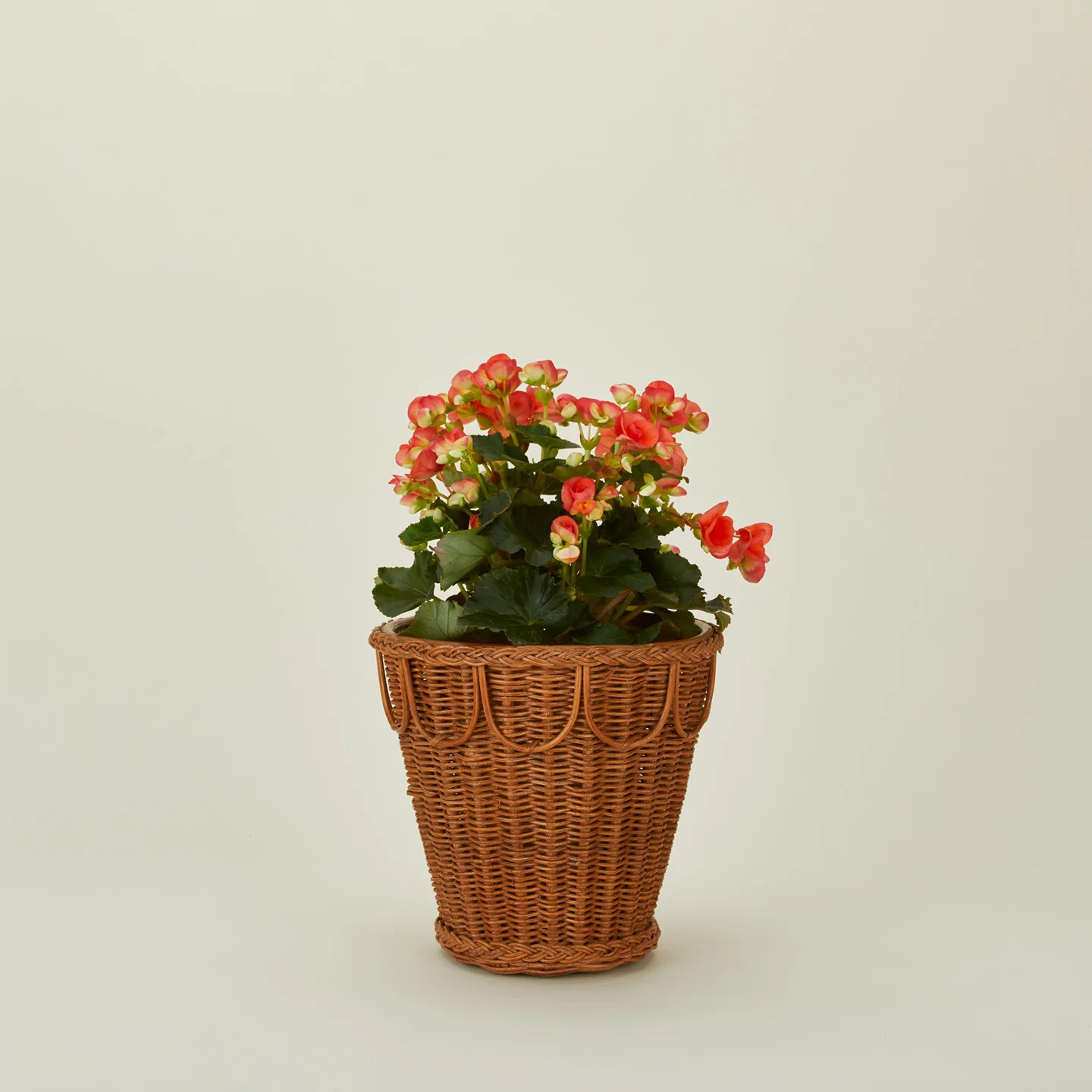 Pinet Plant Pot - Image 11