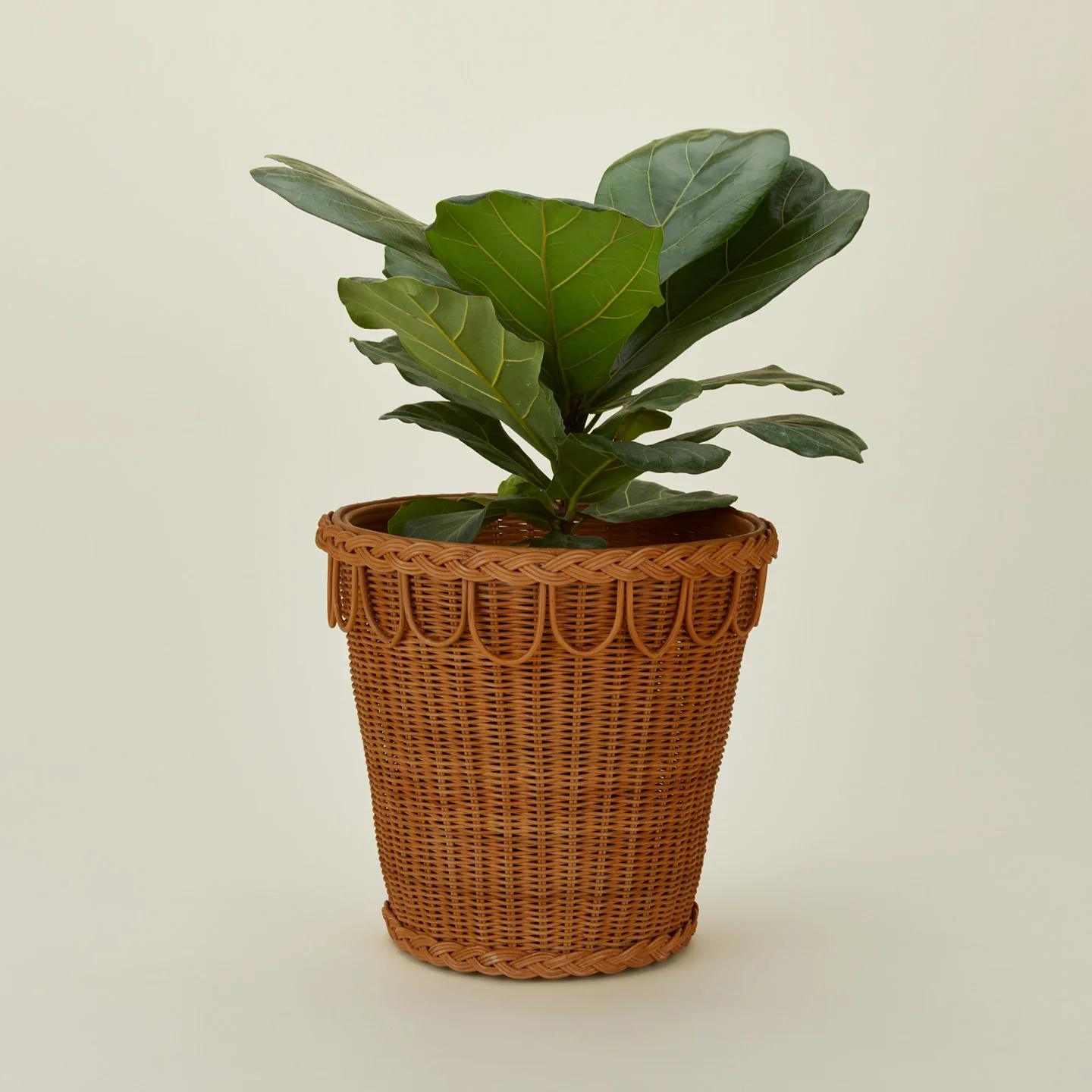 Pinet Plant Pot - Image 15