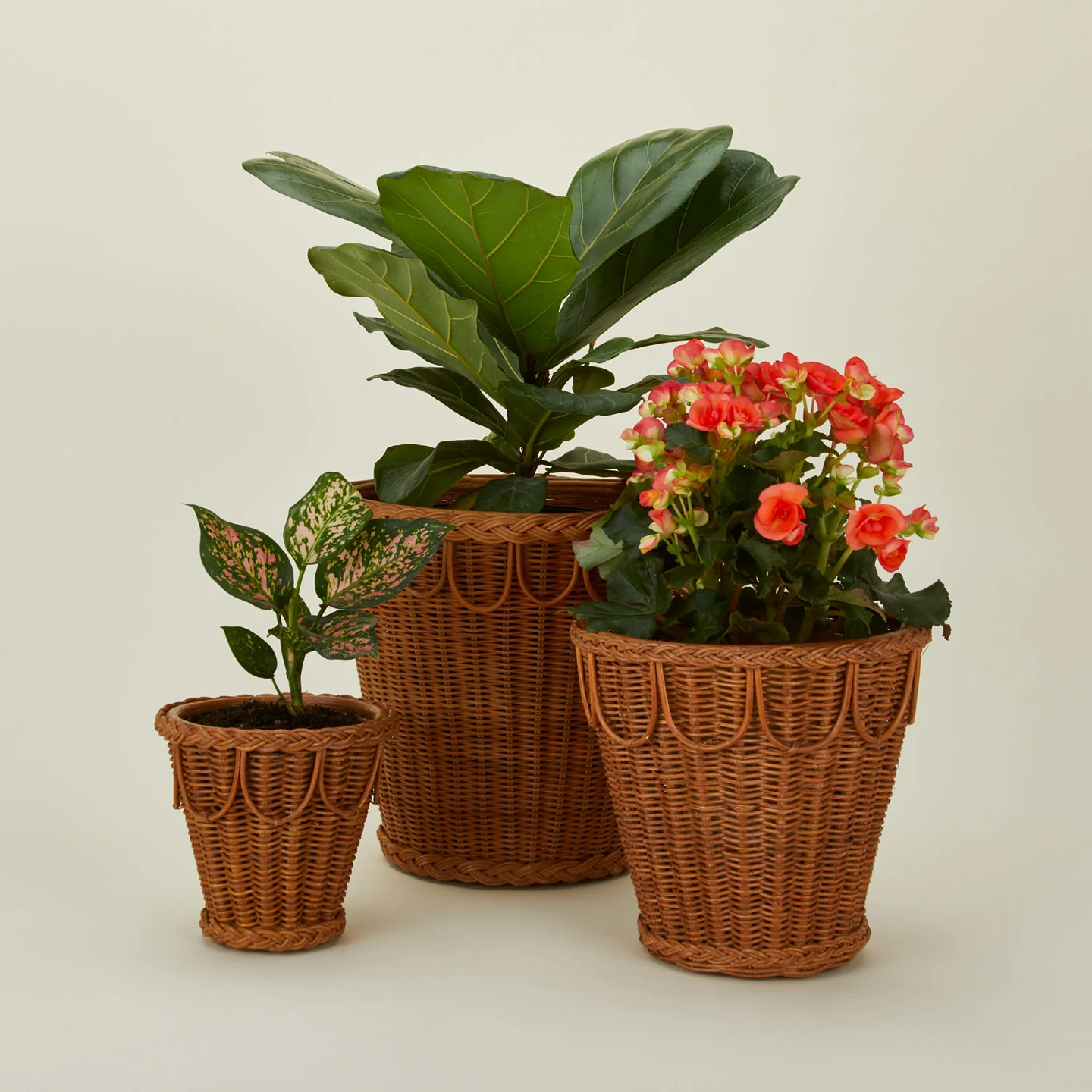 Pinet Plant Pot - Image 2