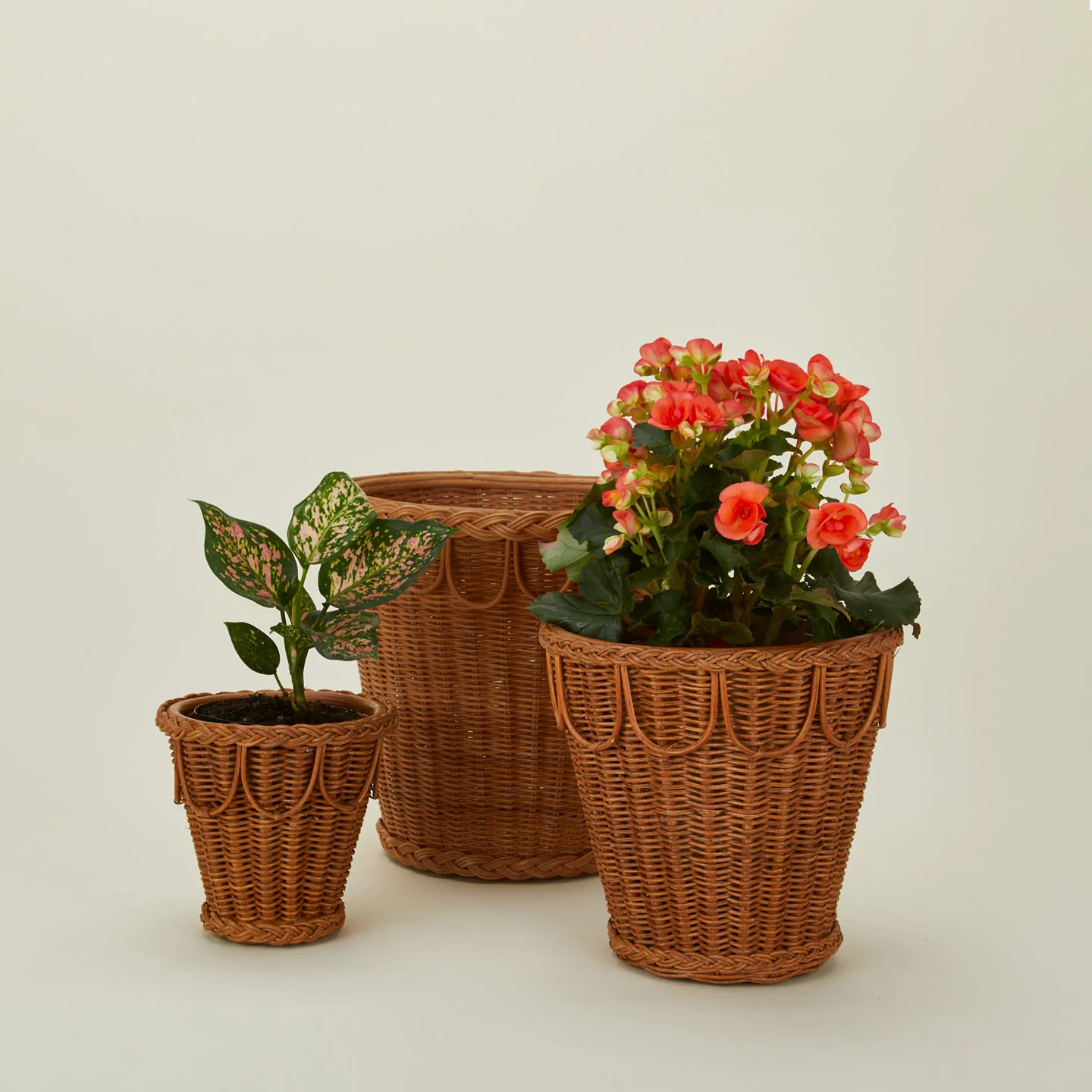Pinet Plant Pot - Image 3