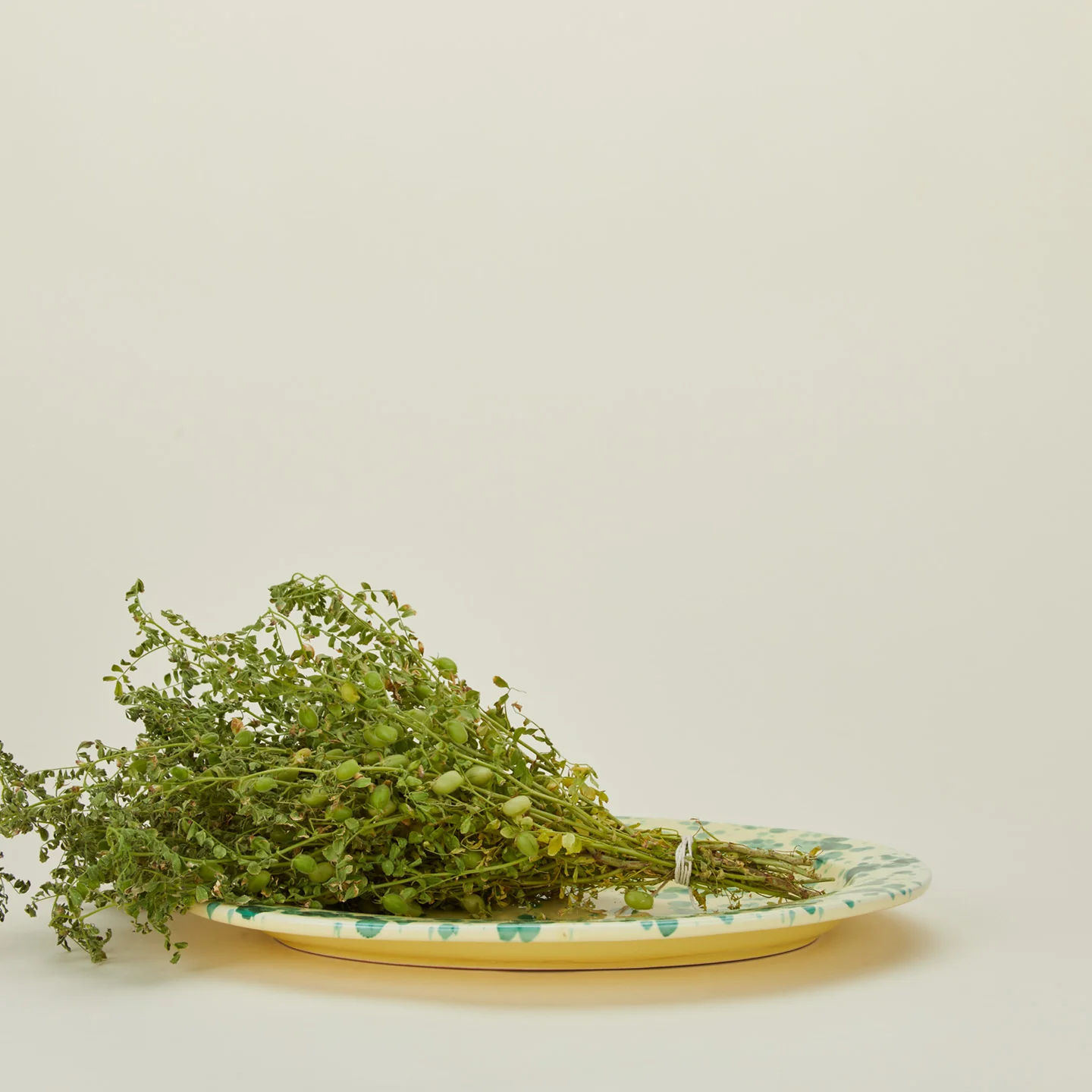 Splatter Oval Platter - Yellow/Green - Image 2