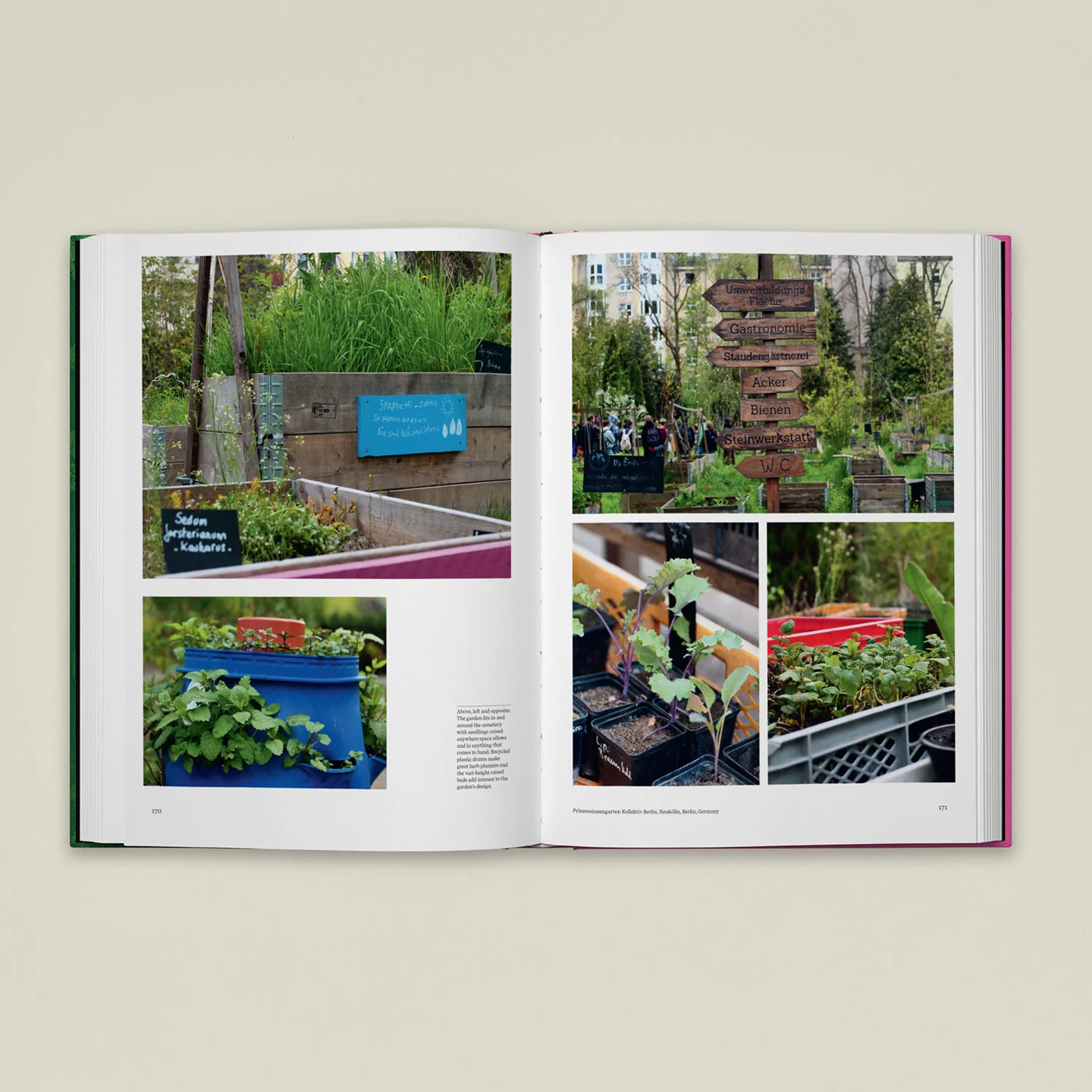 The Kitchen Garden - Image 3